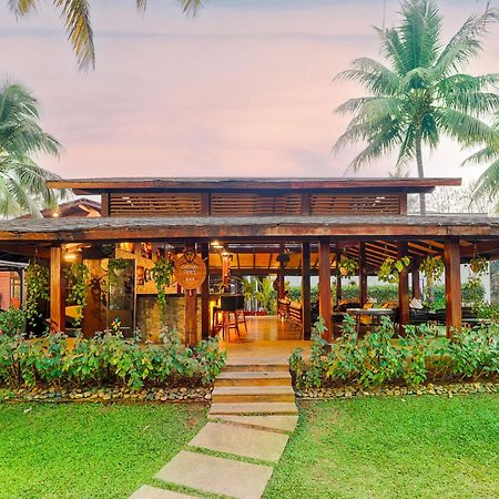 Tropicana Resort & Spa Alibaug Alībāg Exteriér fotografie